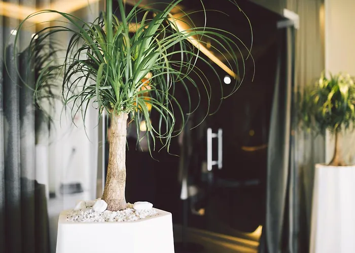 Dunetton - Self Check-in 4*